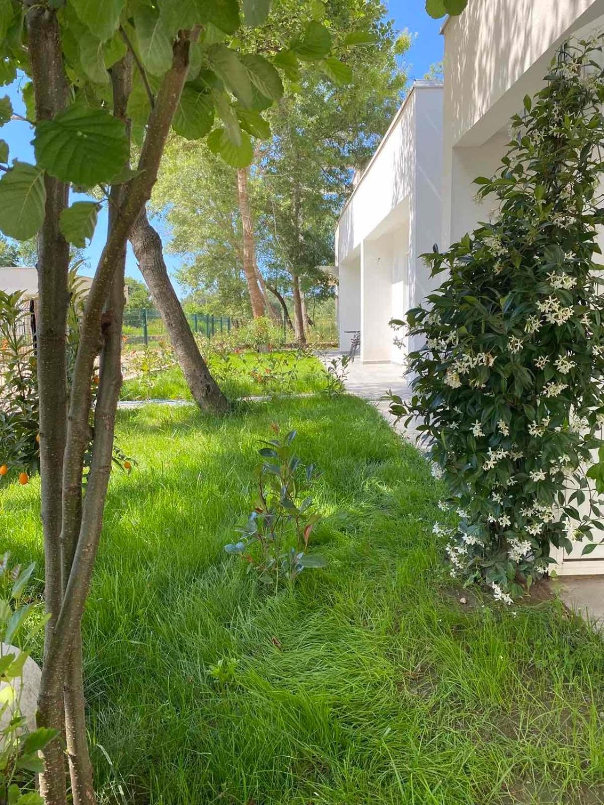 Villa Hanna Ülgün Dış mekan fotoğraf